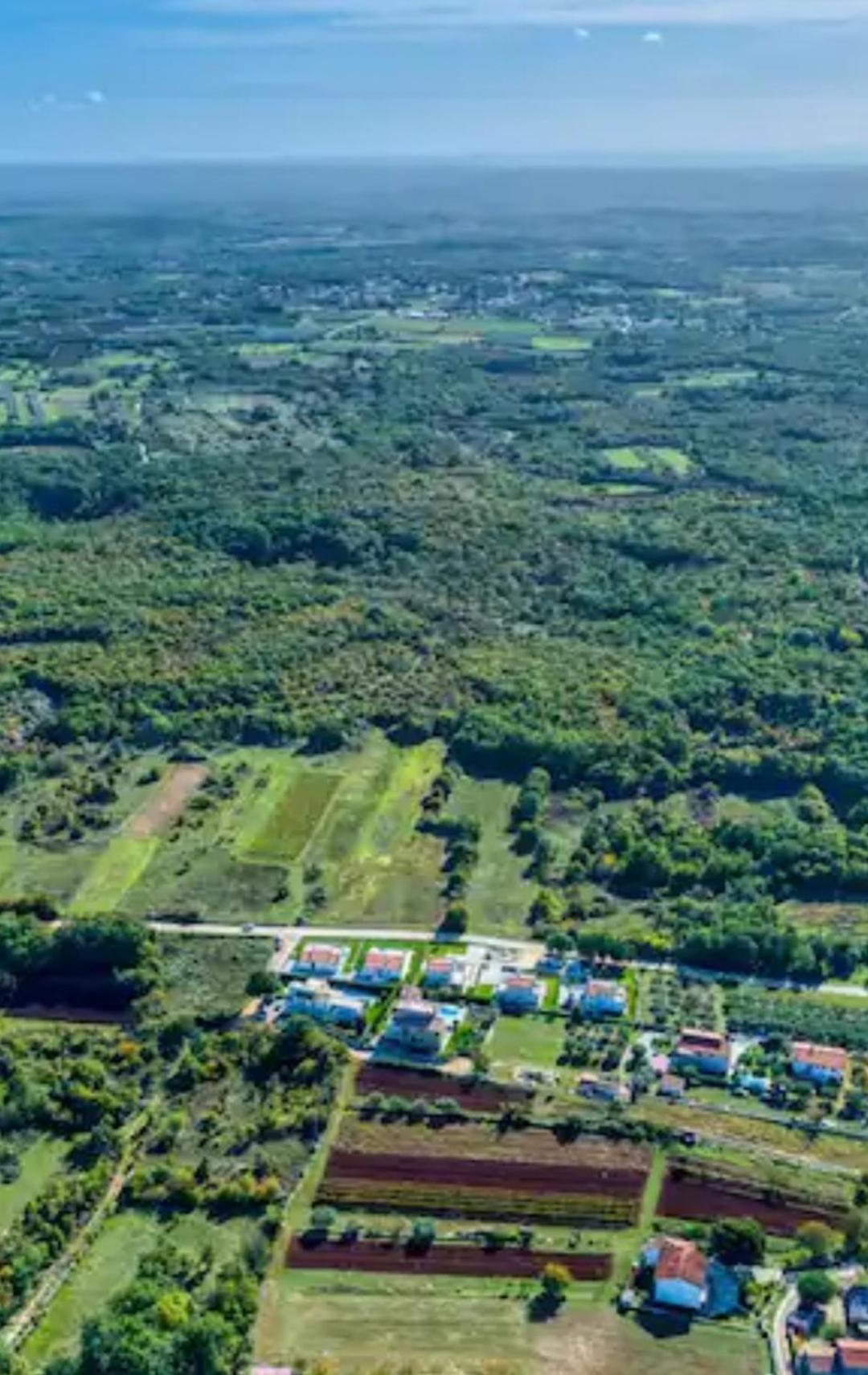 Villa Oskar Istrien Sveti Lovreč Pazenatički المظهر الخارجي الصورة